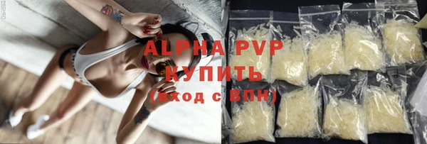 PSILOCYBIN Карпинск