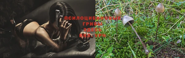 PSILOCYBIN Карпинск