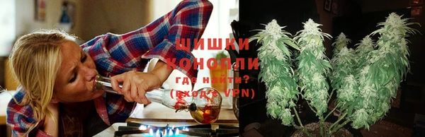 PSILOCYBIN Карпинск