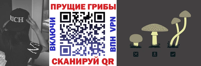 Купить закладки  Дедовск  Галлюциногенные грибы мухоморы 