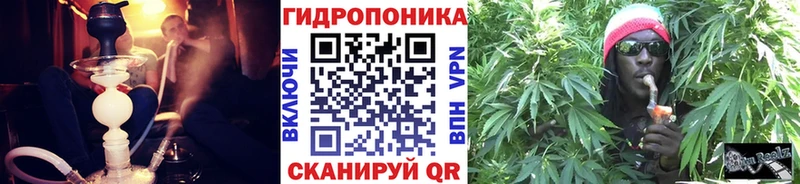 Купить закладки  Дедовск  МАРИХУАНА AK-47 
